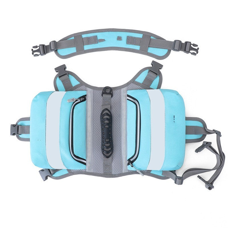 Outdoor Large Padded Dog Leash