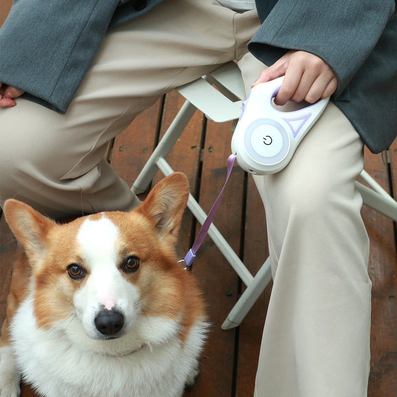 Retractable Leash with Automatic Traction Rope For Small Medium Dogs