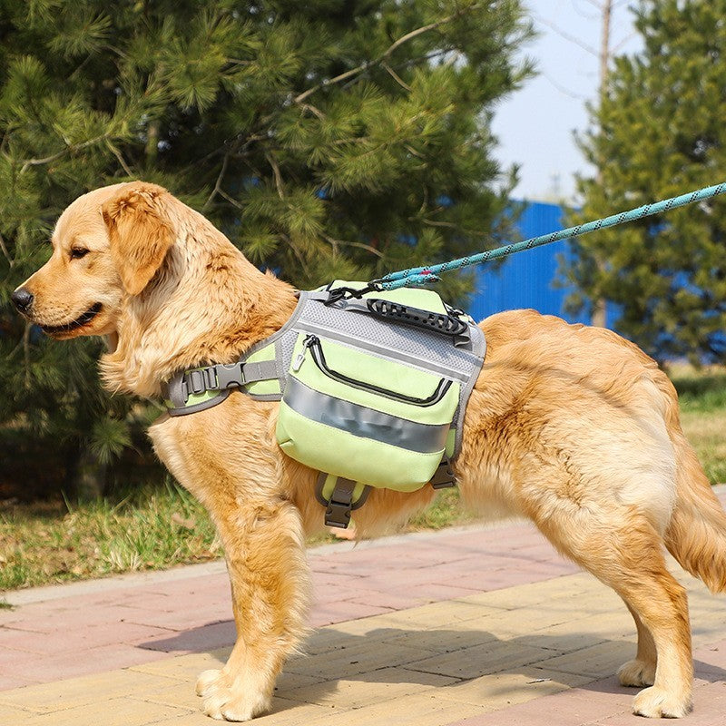Outdoor Large Padded Dog Leash