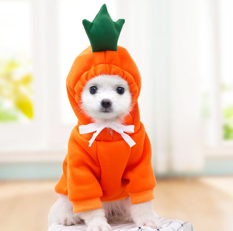 Cute Dog Outfit