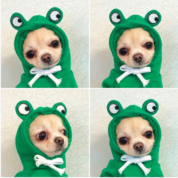 Cute Dog Outfit