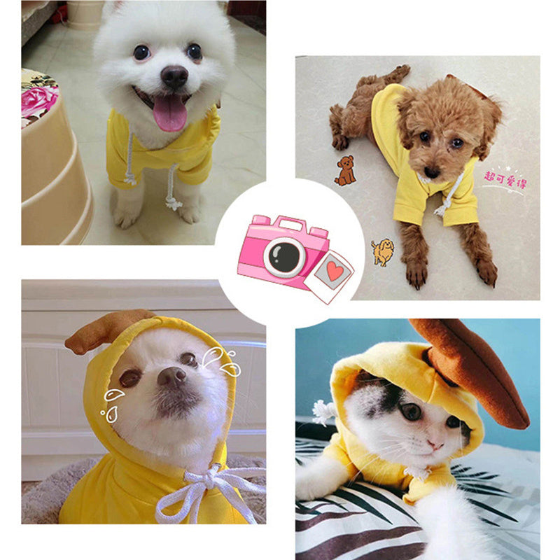 Cute Dog Outfit