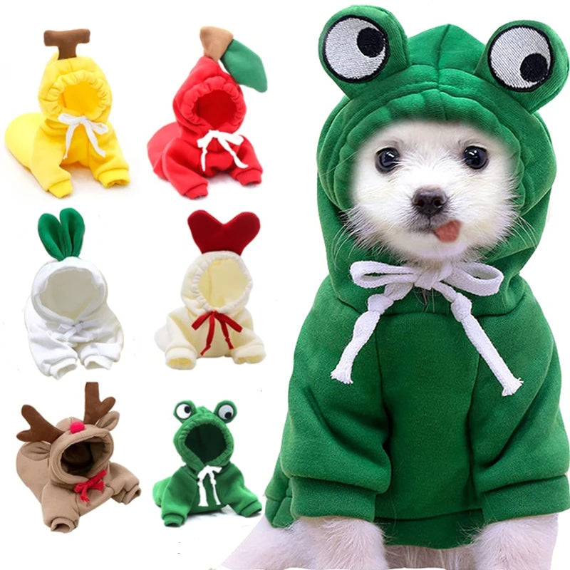 Cute Dog Outfit