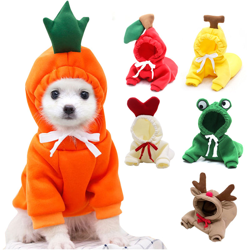 Cute Dog Outfit